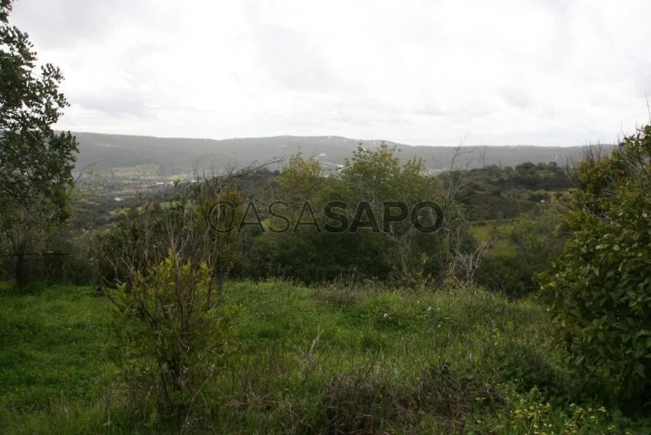 Terreno com ruína, Loulé