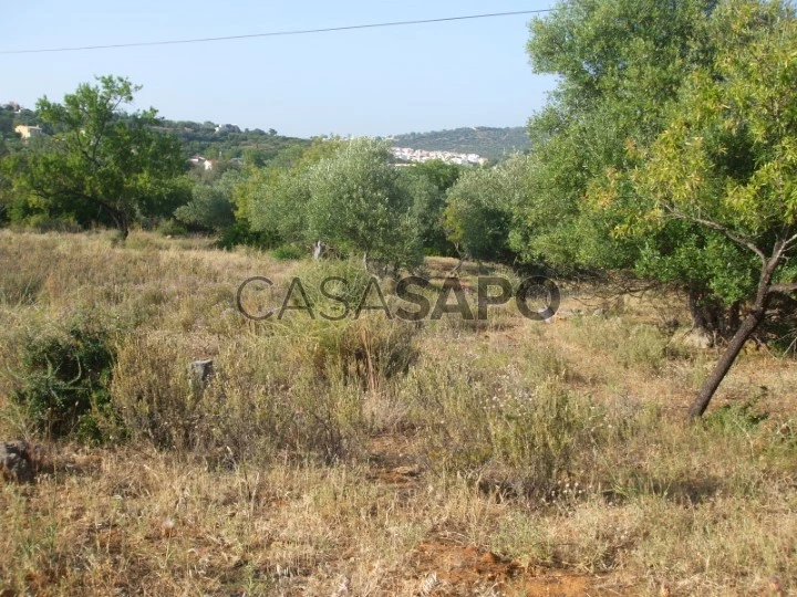 TERRENO RÚSTICO PARA VENDA, LOULÉ, ALGARVE