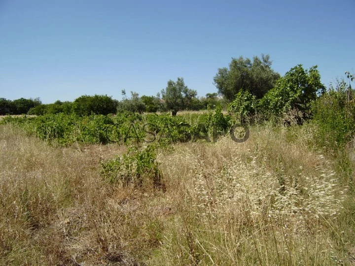 Terrain avec ruine, Loulé