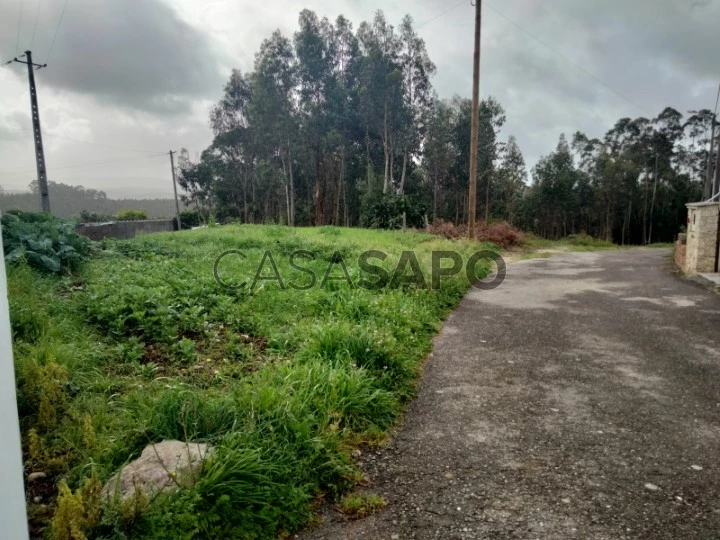 Terreno para comprar em Albergaria-a-Velha