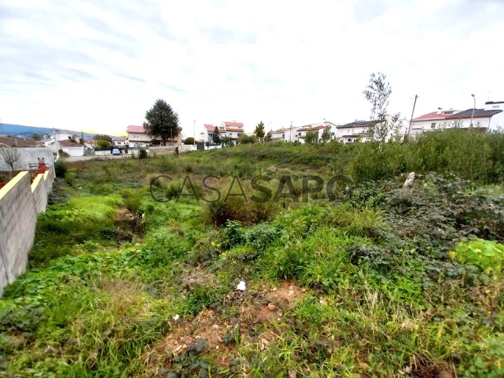 Terreno para comprar em Oliveira de Azeméis