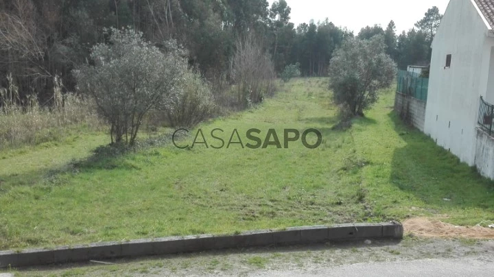 Terreno para comprar em Oliveira do Bairro