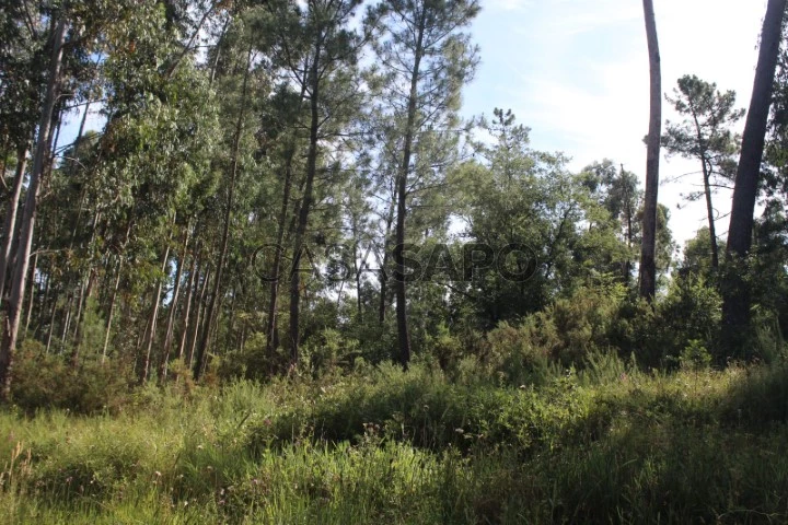 Terreno para comprar em Oliveira do Bairro