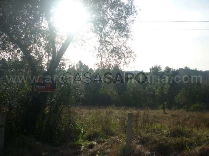 Terreno para comprar em Oliveira do Bairro