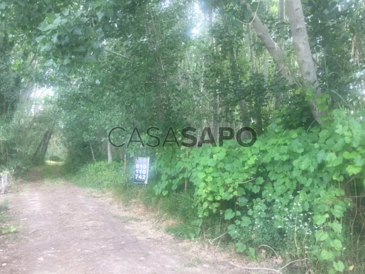 Terreno para comprar em Oliveira do Bairro