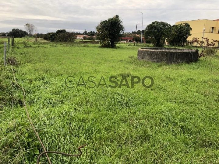 Terreno para comprar em Oliveira do Bairro