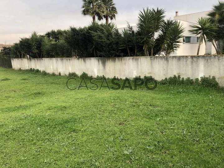 Terreno para comprar em Oliveira do Bairro