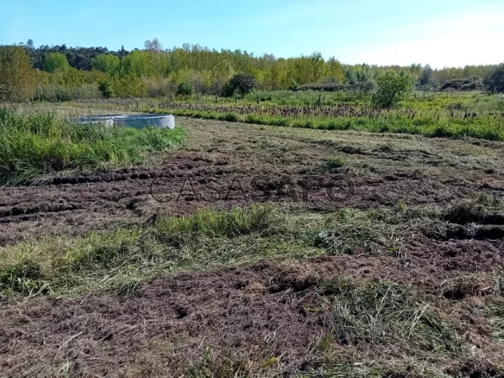 Terreno para comprar em Oliveira do Bairro