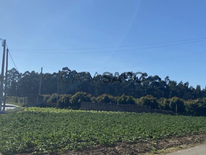 Terreno para comprar em Oliveira do Bairro