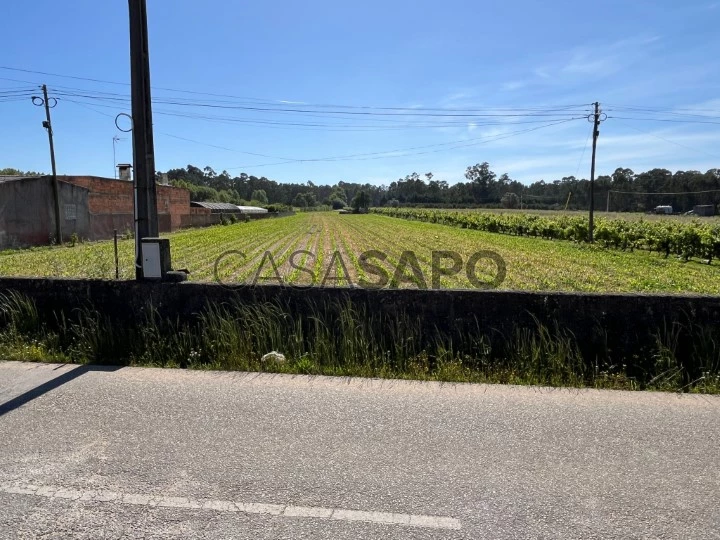 Terreno para comprar em Oliveira do Bairro