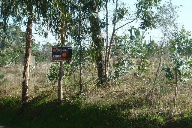 Terreno para comprar em Oliveira do Bairro