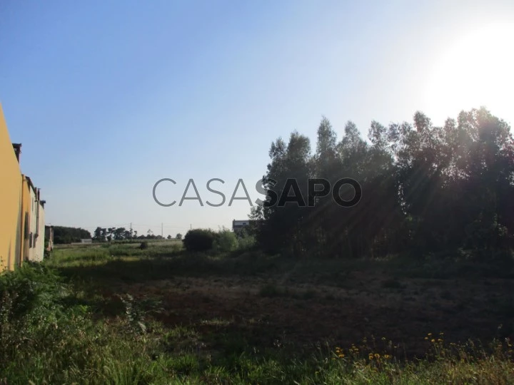 Terreno para comprar em Oliveira do Bairro