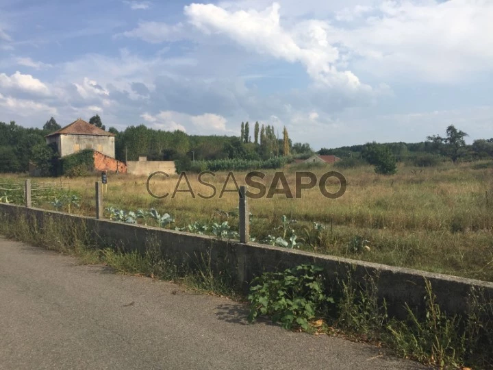 Terreno para comprar em Oliveira do Bairro