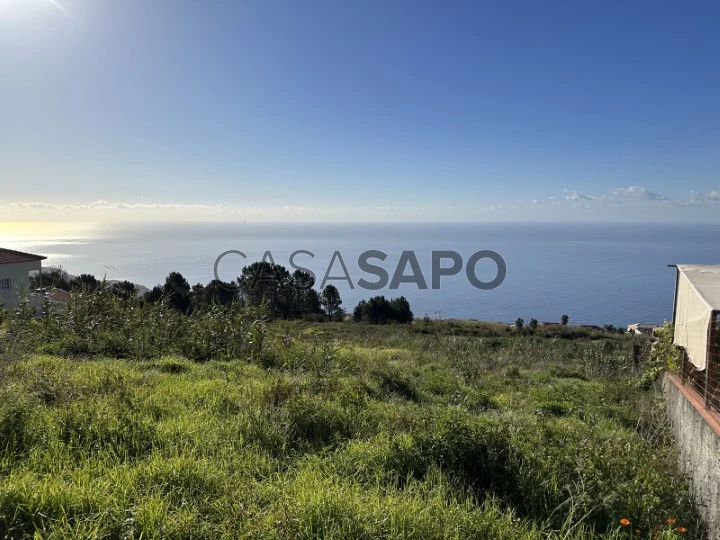 Terreno com 2.500 m2 - Prazeres, Calheta, Madeira