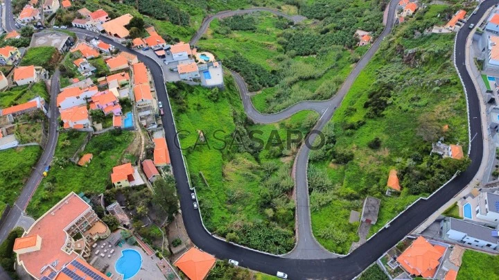 Terreno para construção de moradias com vista mar na Ribeira Brava