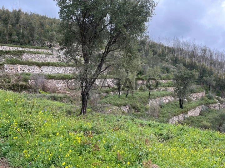 Terreno para comprar em Monchique