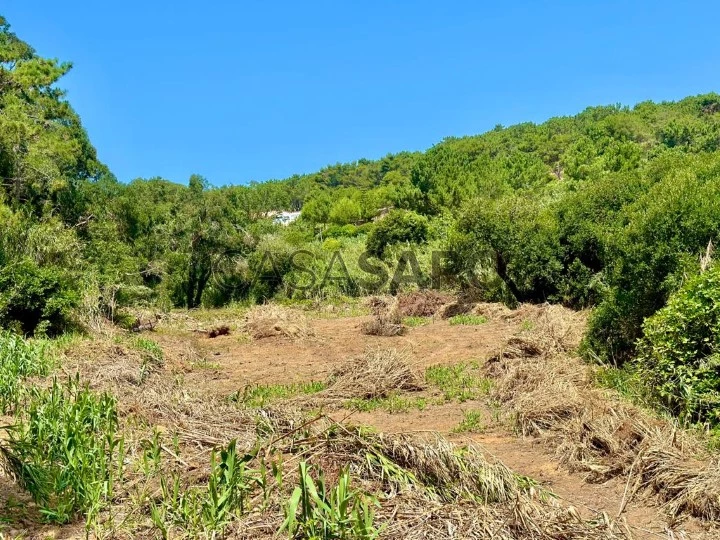 Terreno para comprar em Mafra