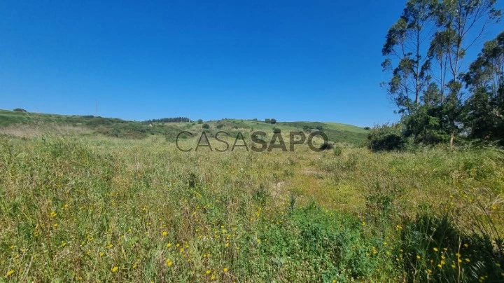 Terreno para comprar em Mafra