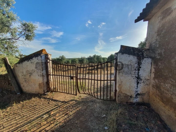 Terreno Rústico para comprar em Vila Viçosa