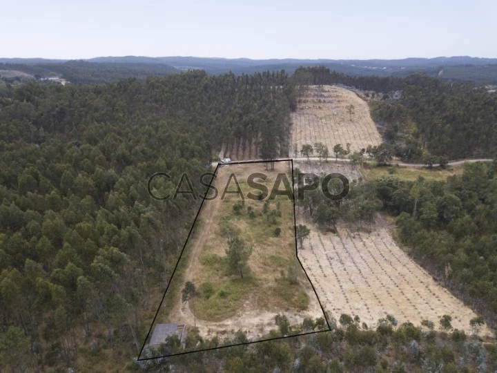 Terreno para comprar em Rio Maior