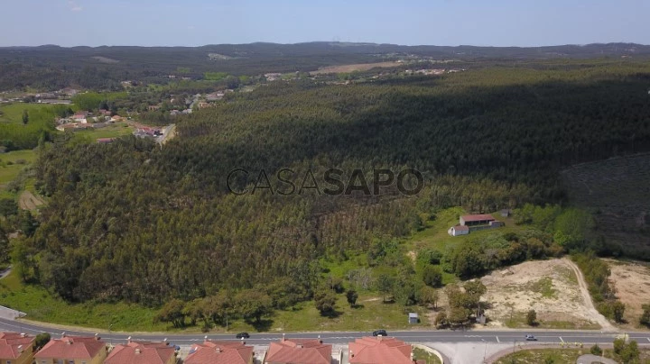 Terreno Asseiceira Rio Maior