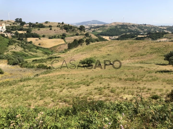 Terreno Milharado Mafra