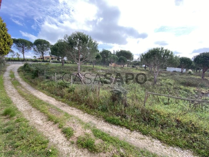 Rustic land of 9000m2 in Torres Vedras, Lisbon