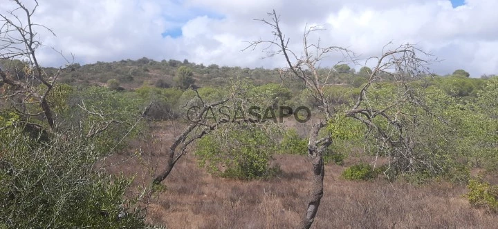 Terreno Rústico para comprar em Loulé