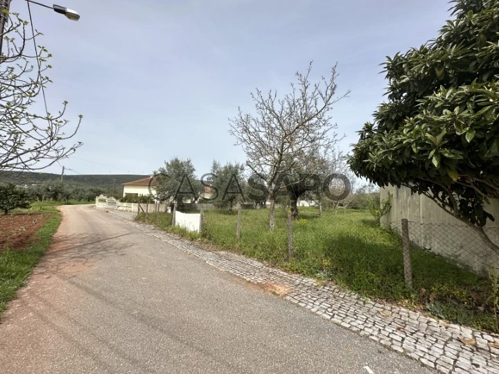 Terreno para comprar em Alvaiázere