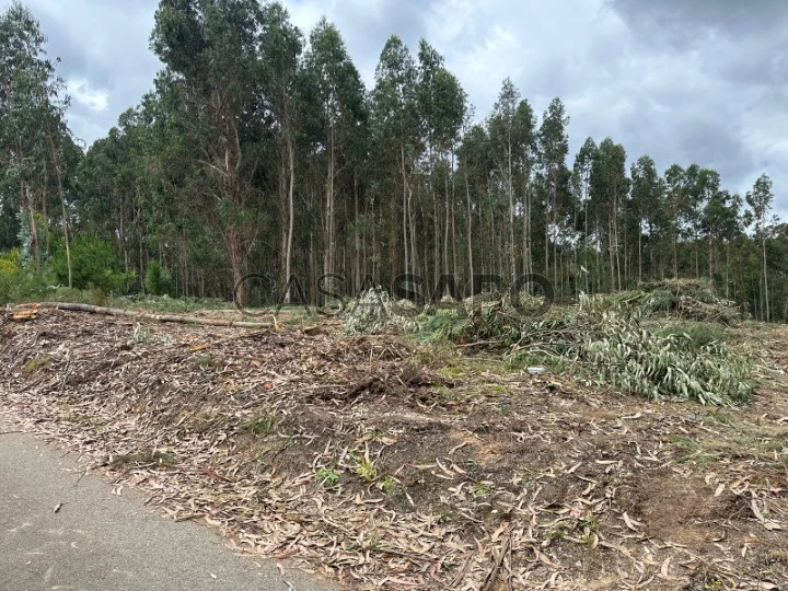 Terreno para comprar em Oliveira do Bairro