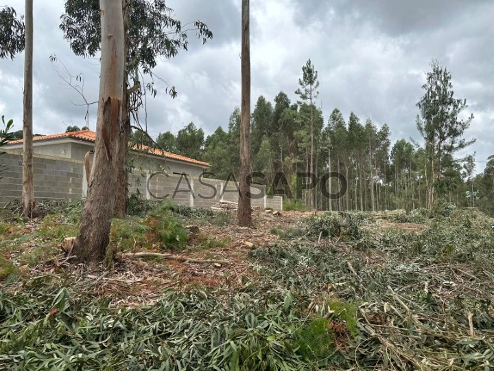 Terreno para comprar em Oliveira do Bairro