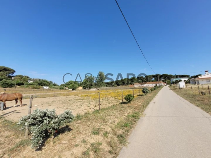 Terreno para comprar em Santarém