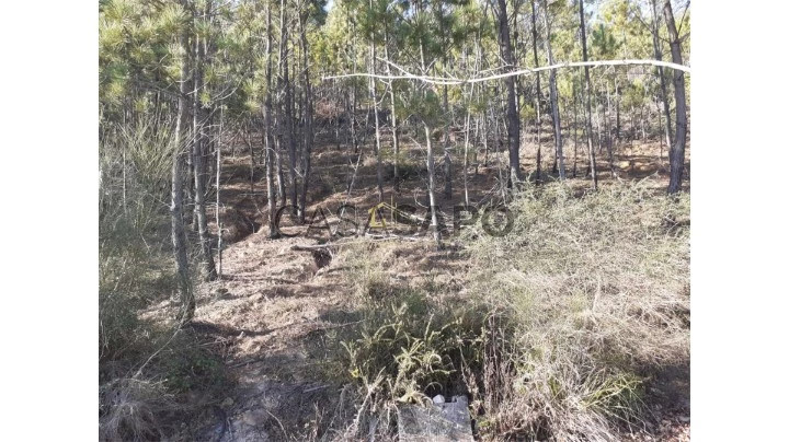 Terreno para comprar em Barcelos