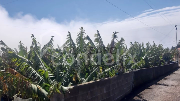 Terreno Urbano para comprar em Calheta (Madeira)