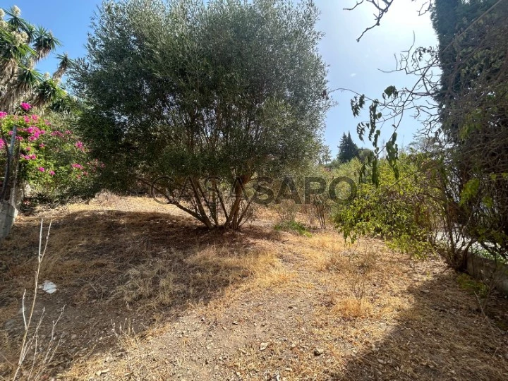 Parcela en venta en la zona de La Sierrezuela de Mijas.