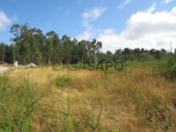 Terreno para comprar em Vila Nova de Poiares