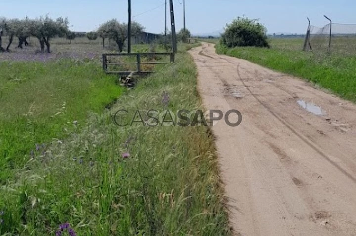 Terreno para comprar em Campo Maior