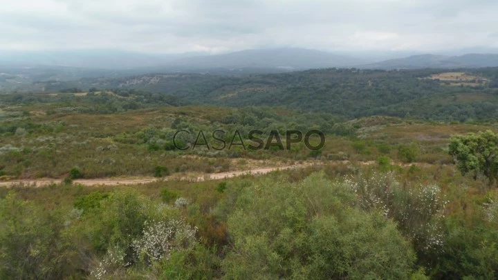 Finca rústica de 555 ha con varios inmuebles, ideal para uso cinegético y ganadero, situada en la comarca de la Vera (Cáceres).