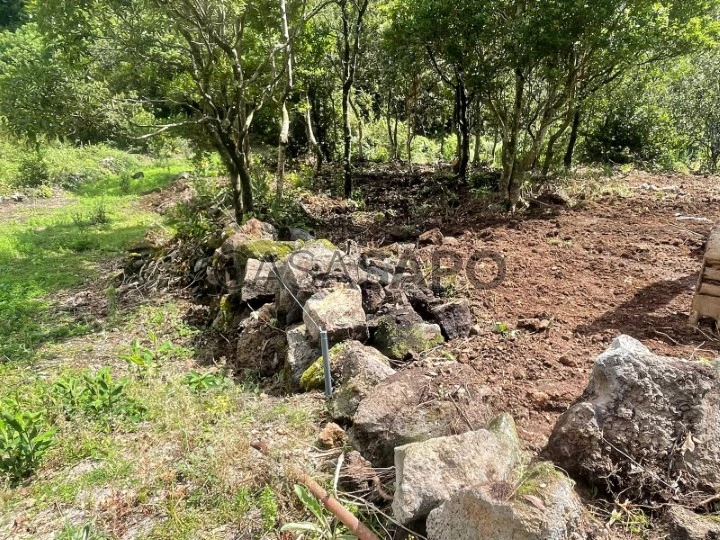 Terreno no Chão da Ribeira