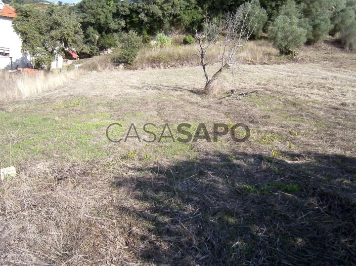 Terreno Urbano para comprar na Batalha