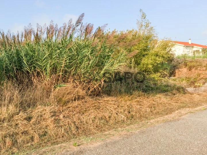 Terreno para comprar na Figueira da Foz