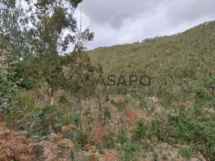 Terreno para comprar em Miranda do Corvo