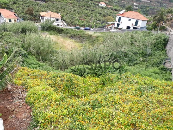 Terreno para comprar no Funchal