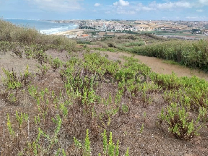 Terreno para comprar na Lourinhã