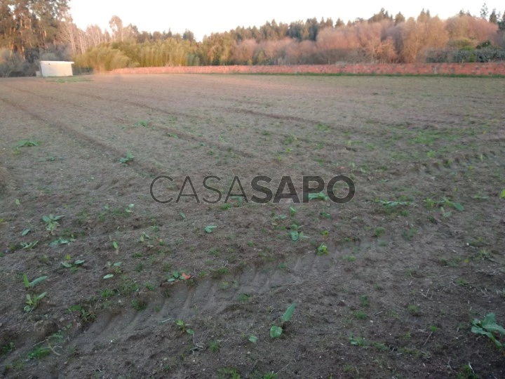 Terreno Urbano para comprar em Oliveira do Bairro