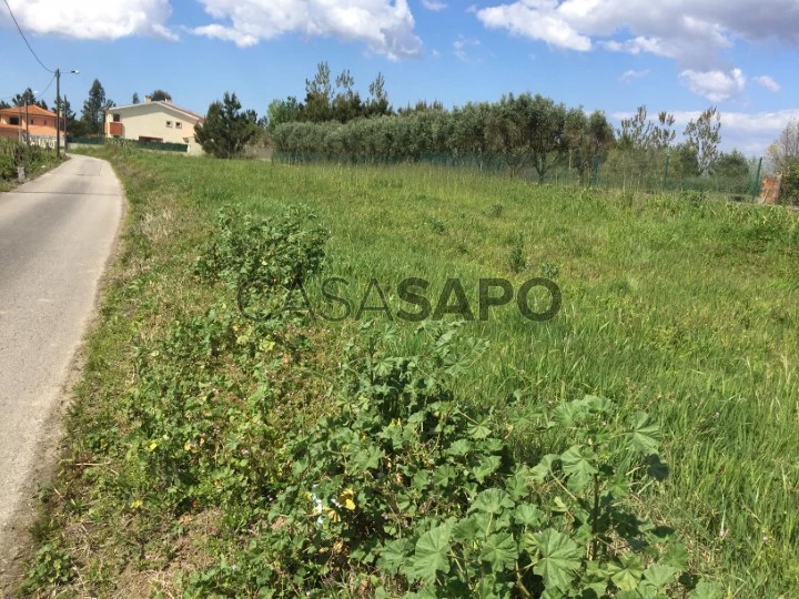 Terreno para comprar em Oliveira do Bairro