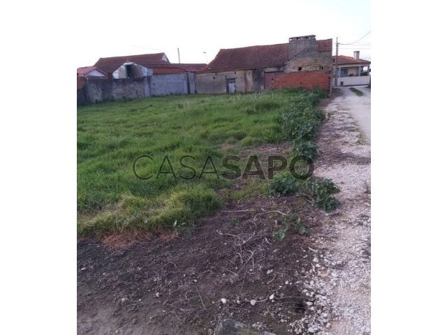 Terreno para comprar em Oliveira do Bairro