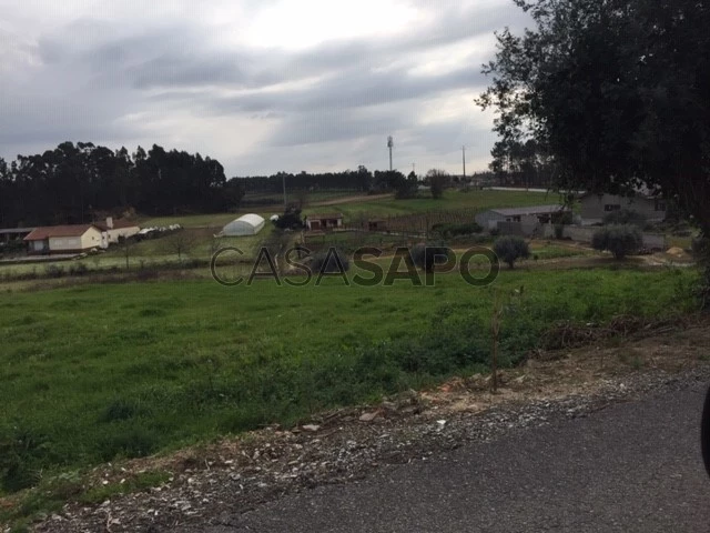 Terreno para comprar em Oliveira do Bairro