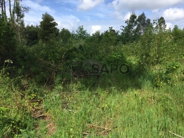 Terreno para comprar em Oliveira do Bairro