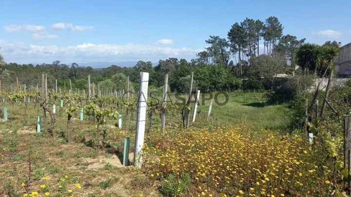 Terreno para comprar em Oliveira do Bairro